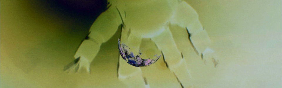 vlcsnap-2024-10-17-23h07m09s889